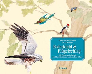 Cover des Buches 'Federkleid & Flügelschlag'
