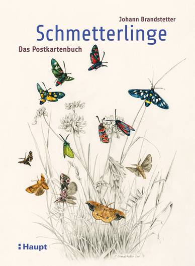 Cover des Postkartenbuches 'Schmetterlinge'